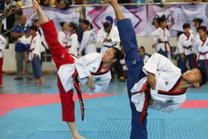 Taekwondo-Forme